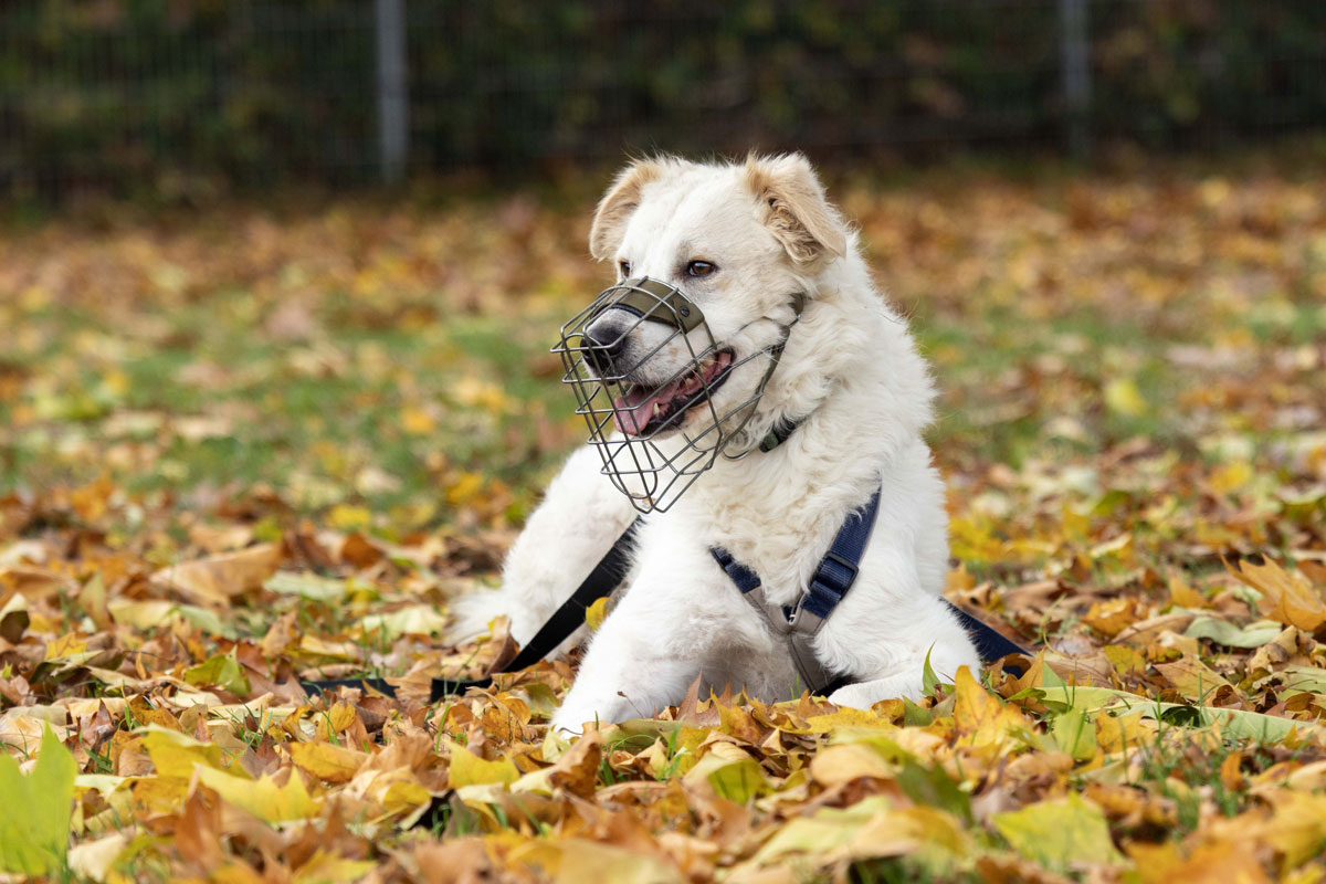 neues Foto Januar 2026