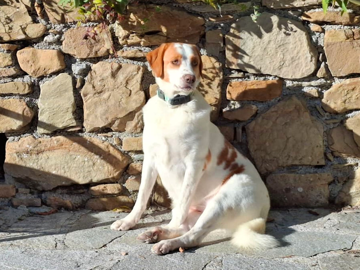 neues Foto Januar 2026