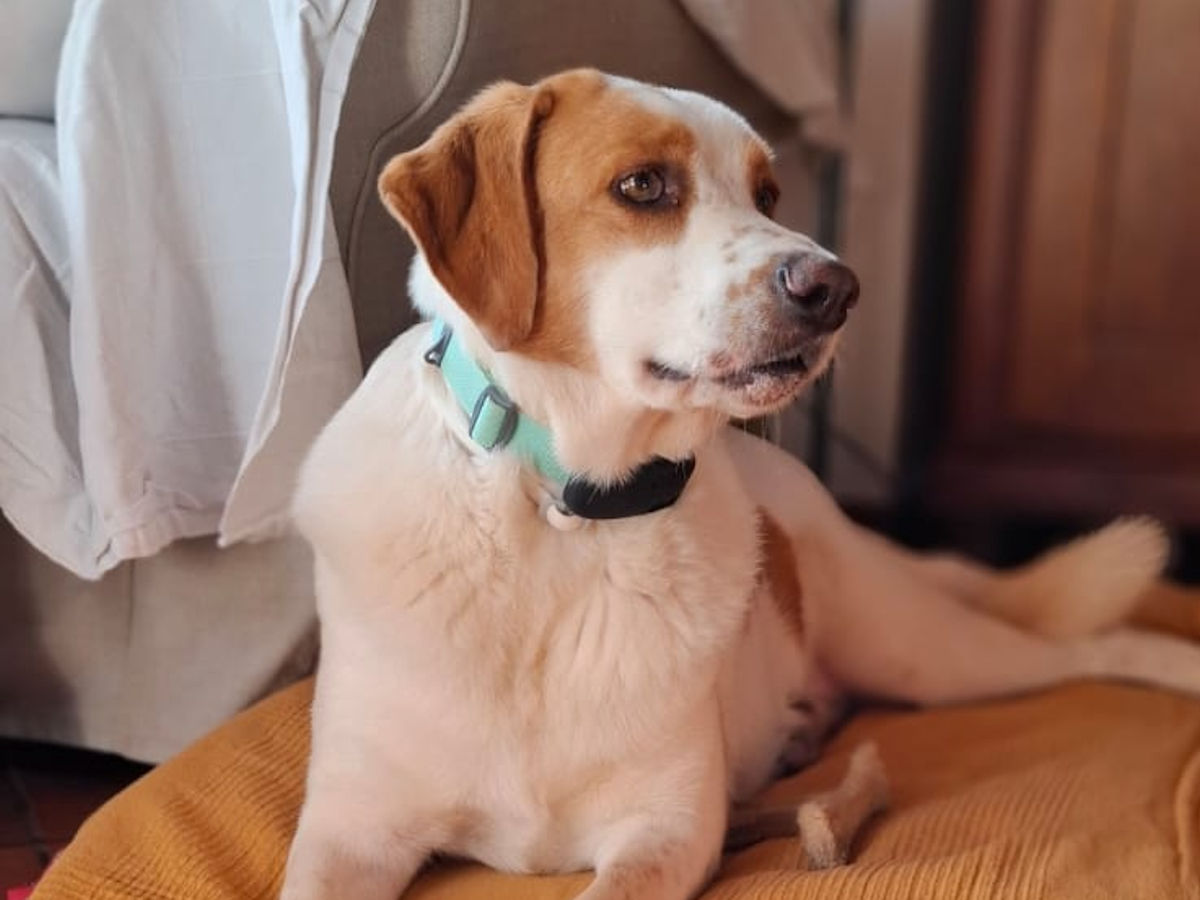 neues Foto Januar 2026