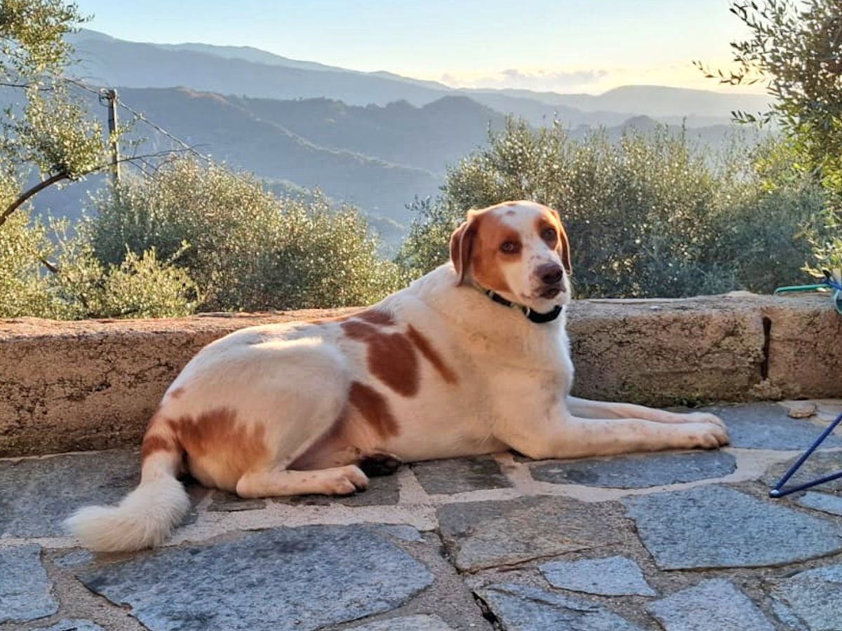 neues Foto Januar 2026