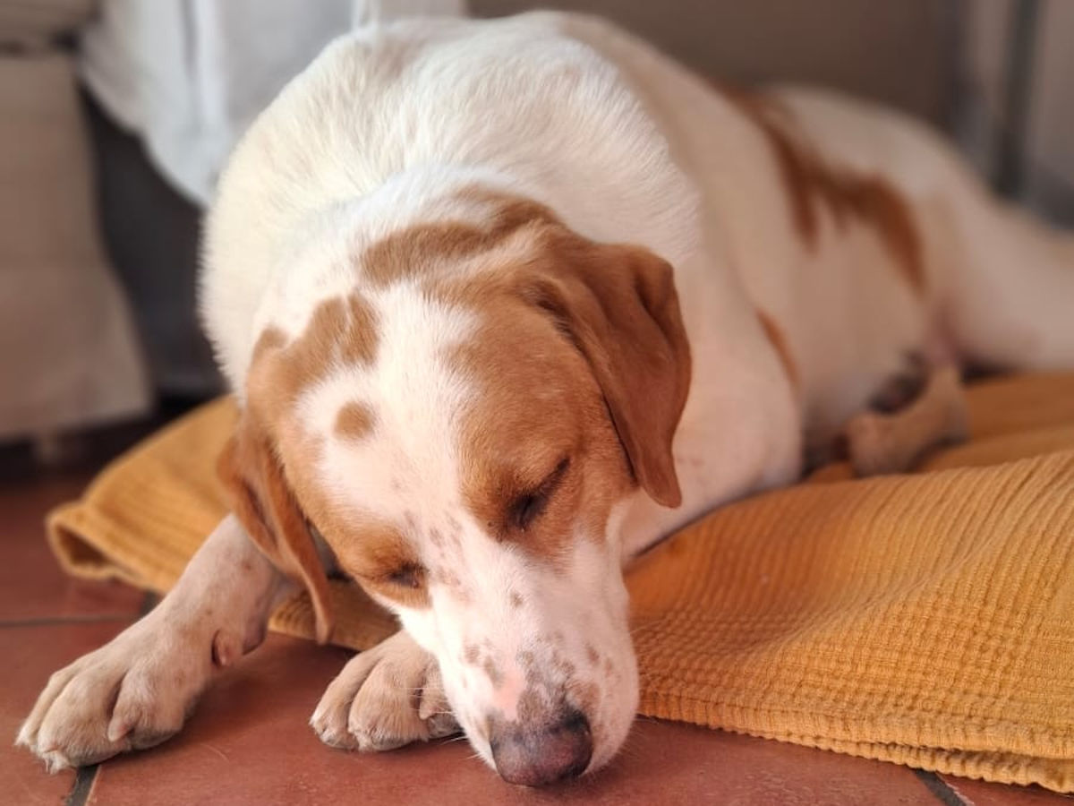 neues Foto Januar 2026