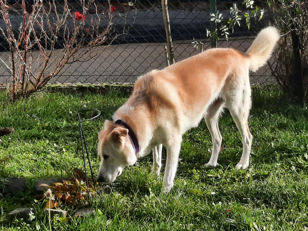 neues Foto Januar 2026