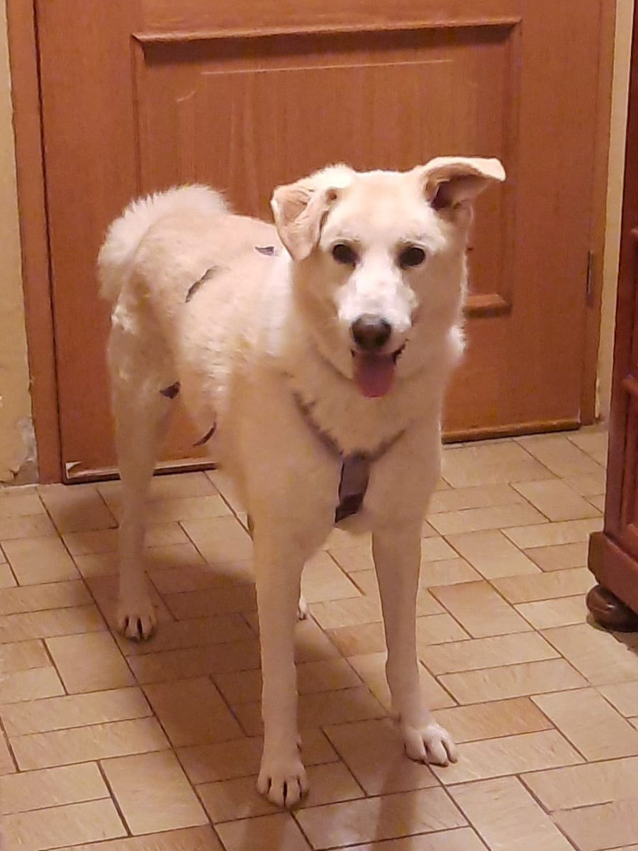 neues Foto Januar 2026