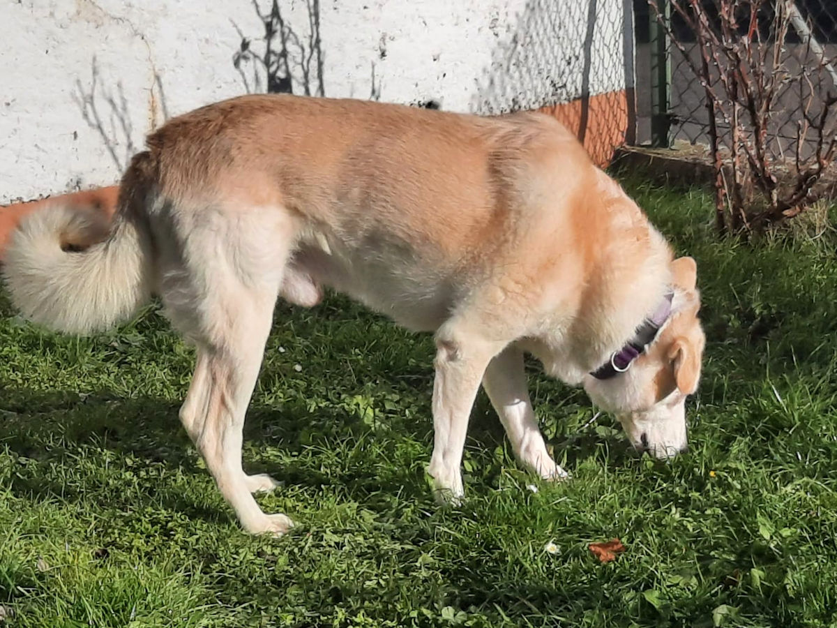 neues Foto Januar 2026