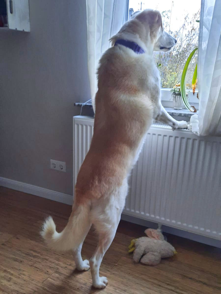 neues Foto Januar 2026