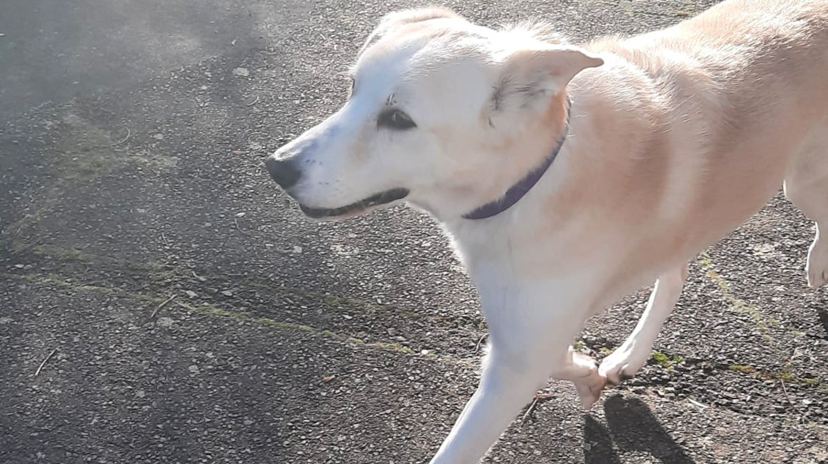 neues Foto Januar 2026