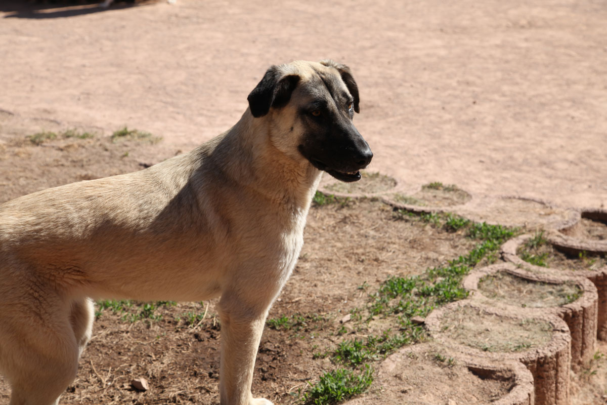 neues Foto Januar 2026