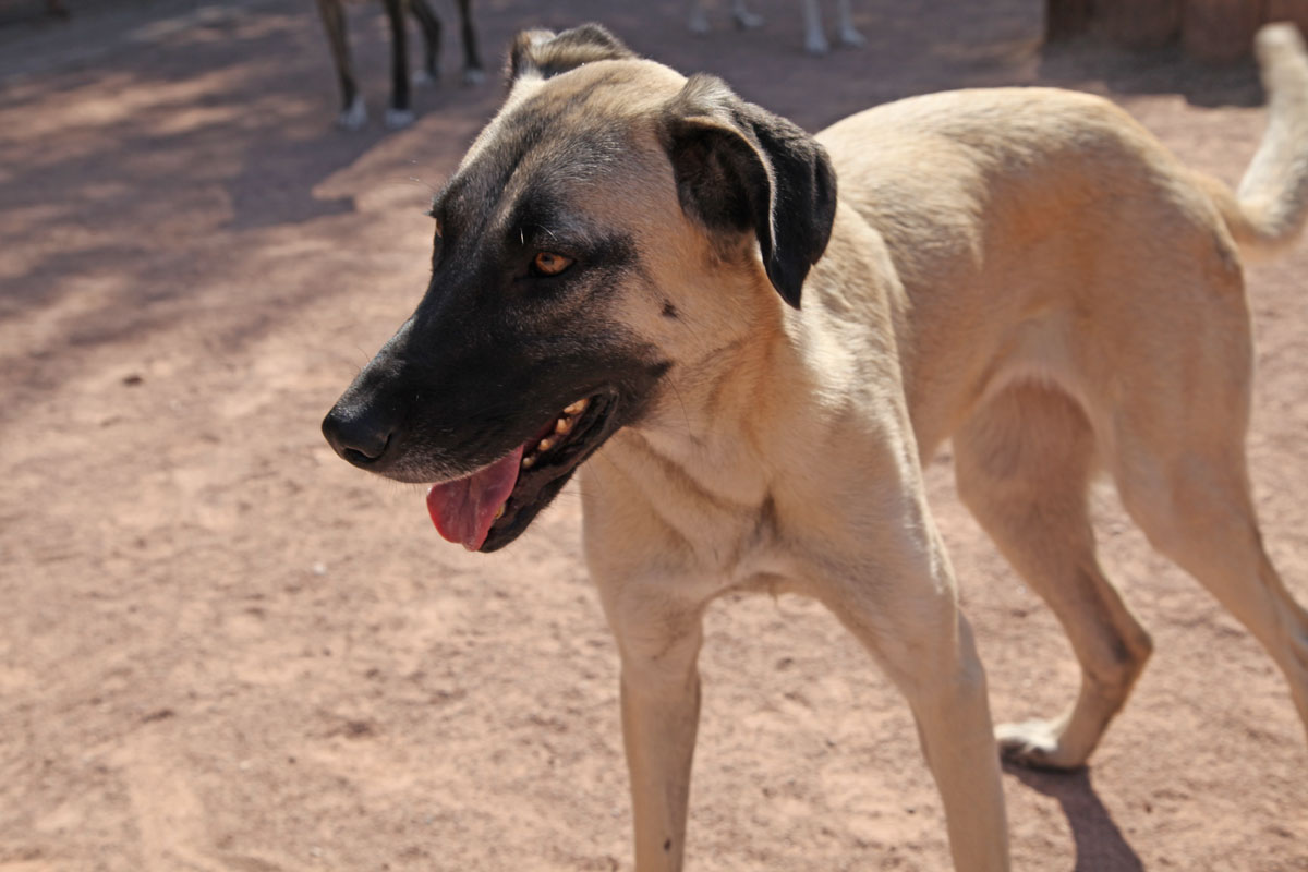 neues Foto Januar 2026