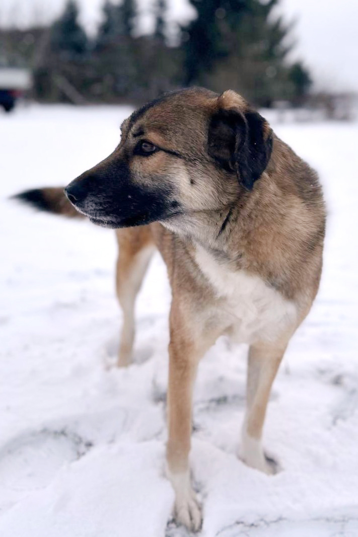 neues Foto Januar 2026