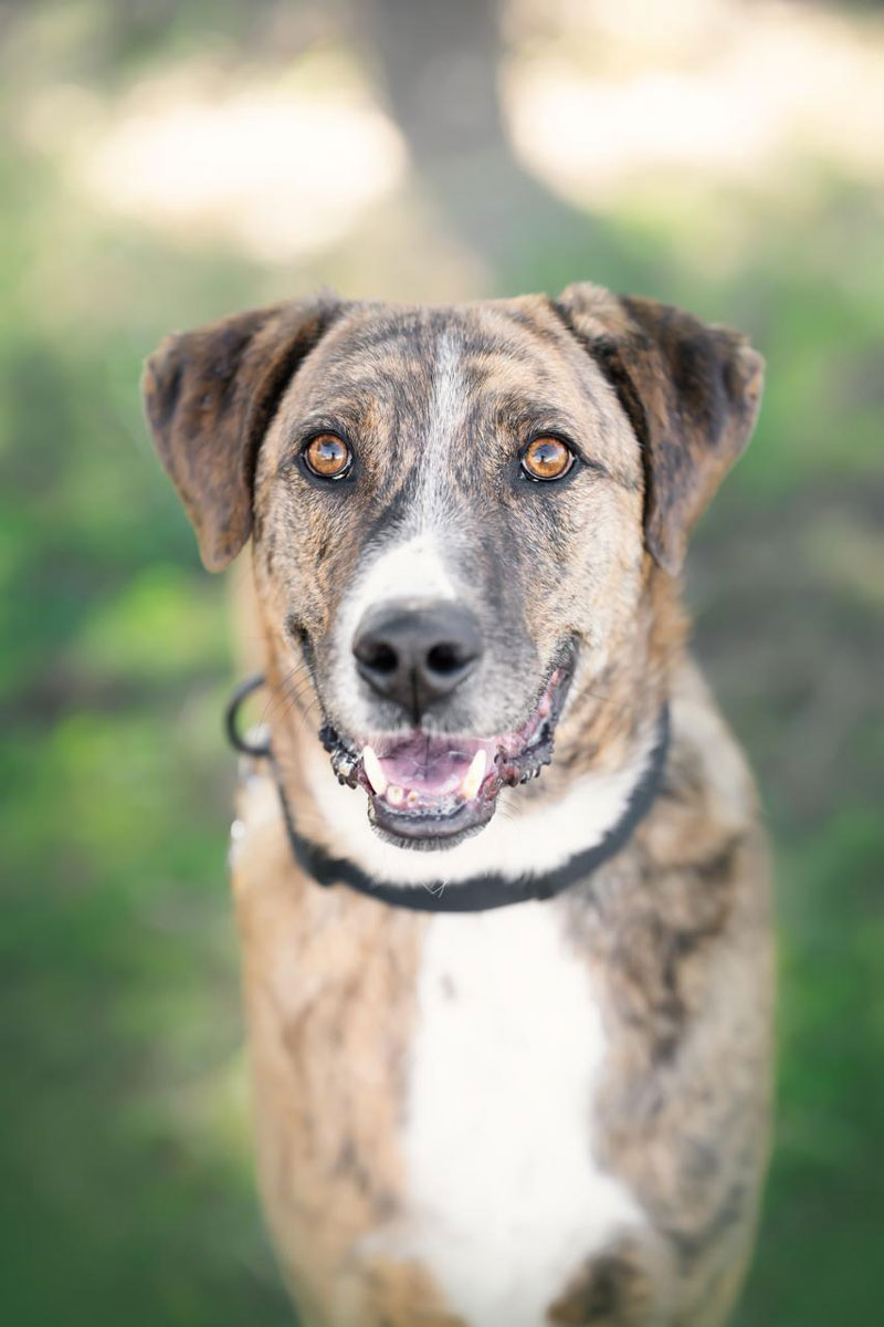 neues Foto Januar 2026