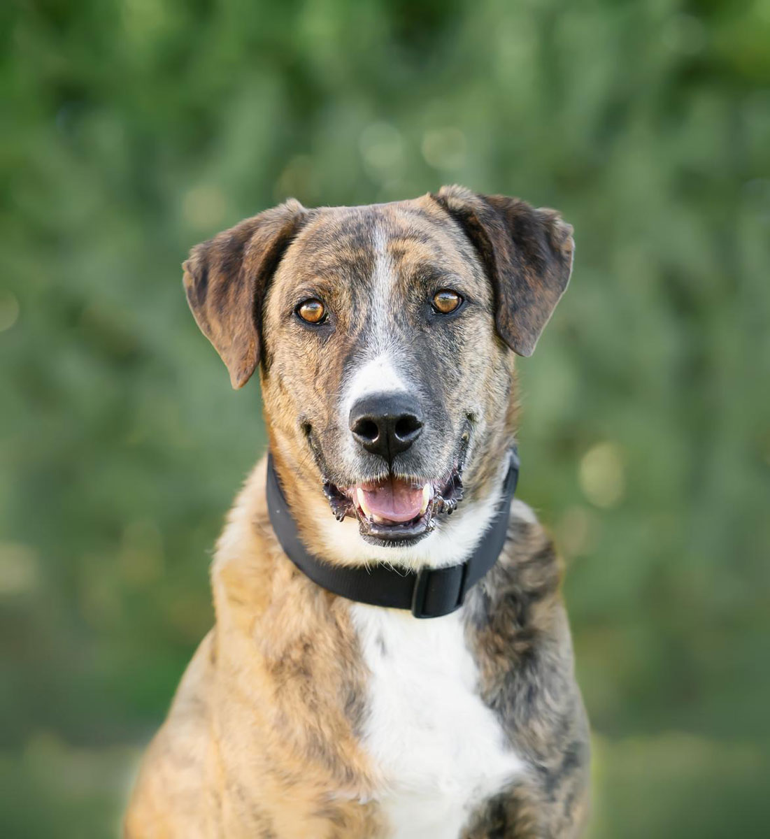 neues Foto Januar 2026