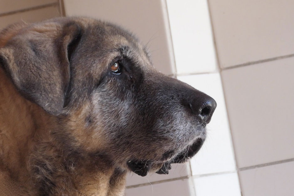 neues Foto Januar 2026