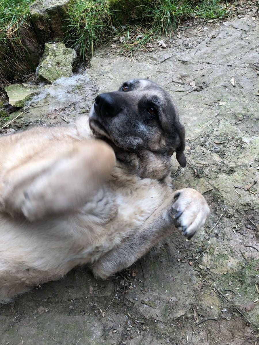 neues Foto Januar 2026