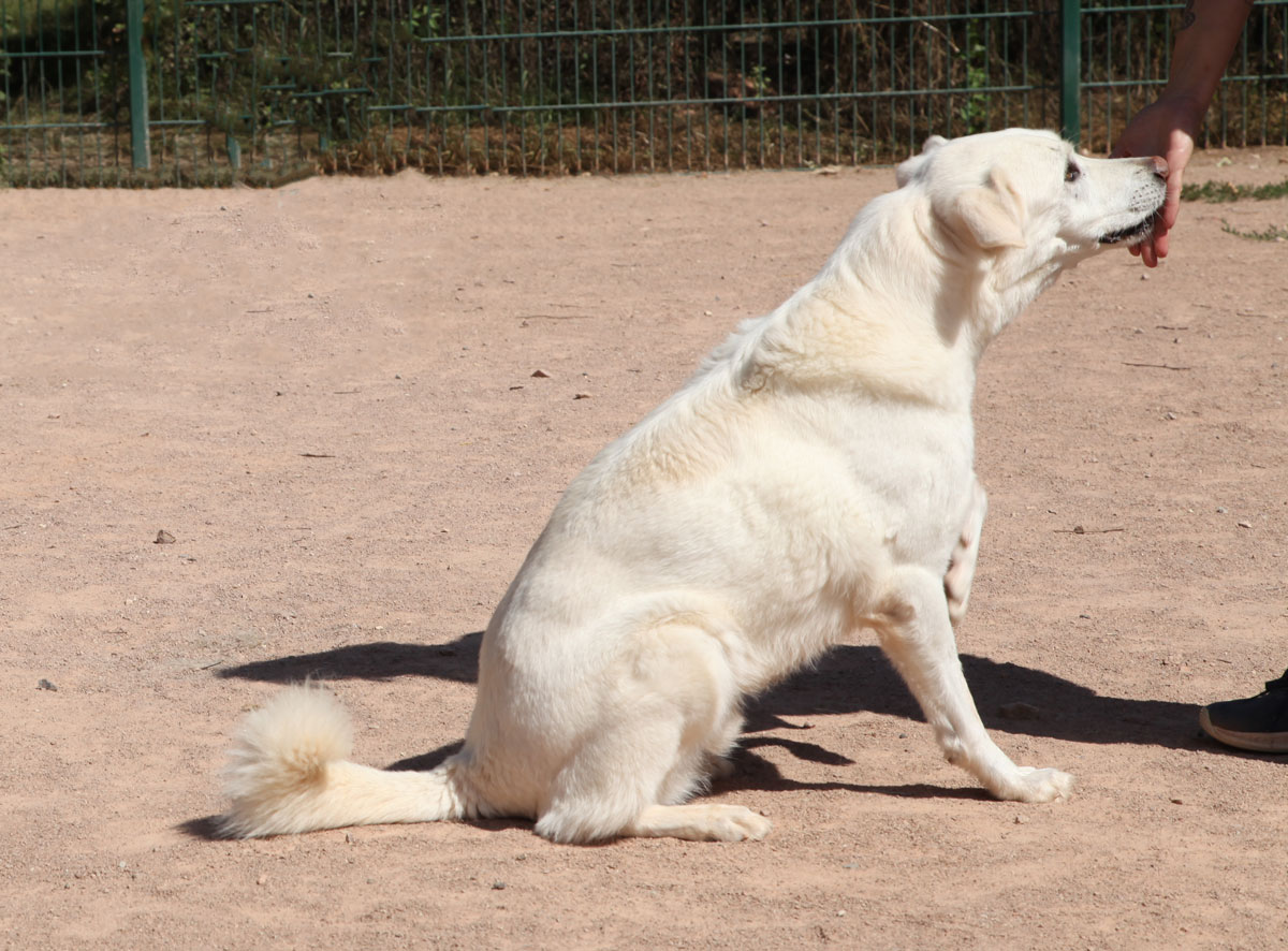 neues Foto Januar 2026