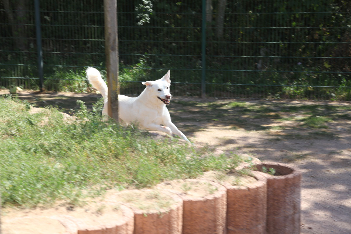 neues Foto Januar 2026