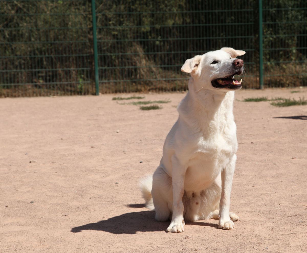 neues Foto Januar 2026