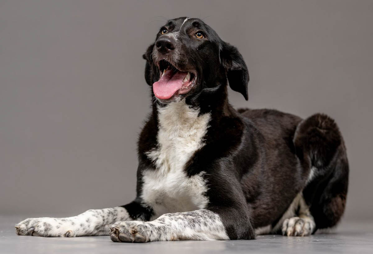 neues Foto Januar 2026