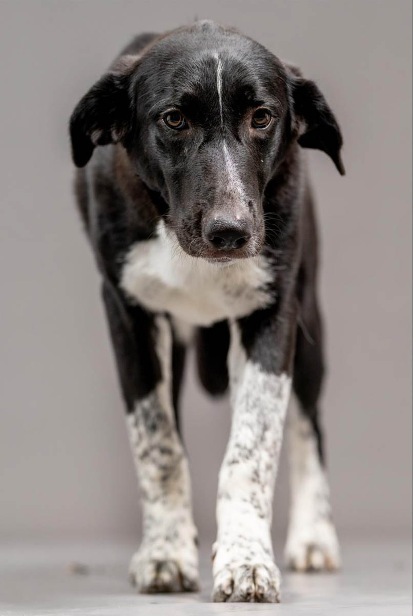 neues Foto Januar 2026