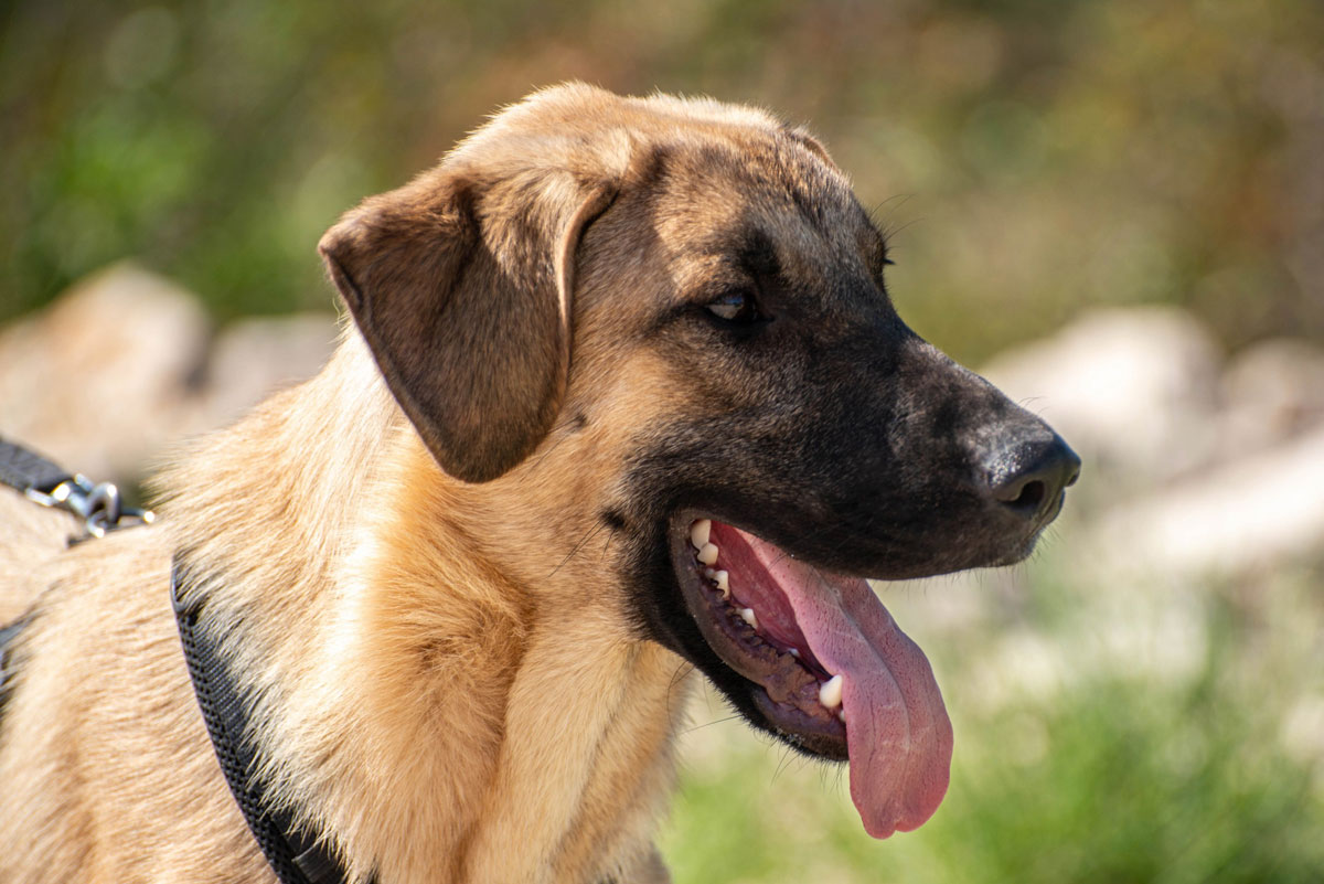 neues Foto Januar 2026