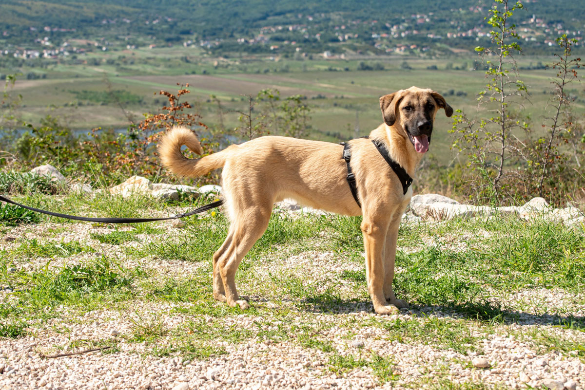 neues Foto Januar 2026