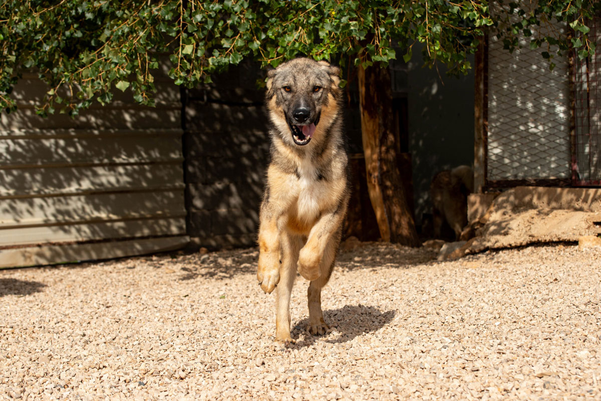 neues Foto Januar 2026