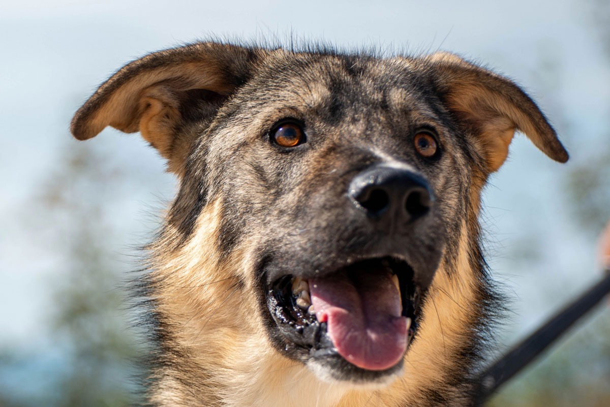 neues Foto Januar 2026