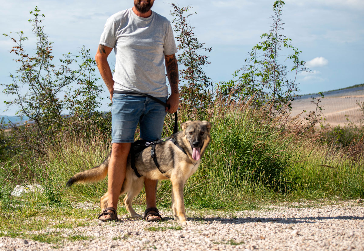 neues Foto Januar 2026