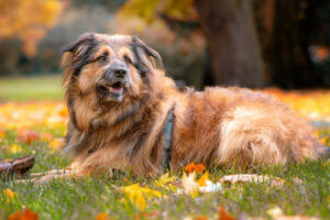 neues Foto Januar 2026