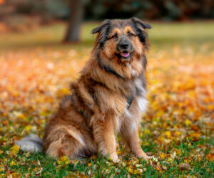 neues Foto Januar 2026