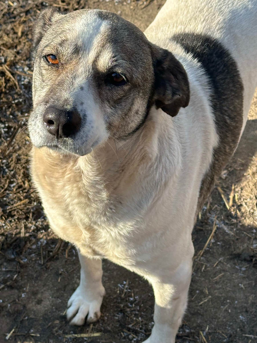 neues Foto Januar 2026