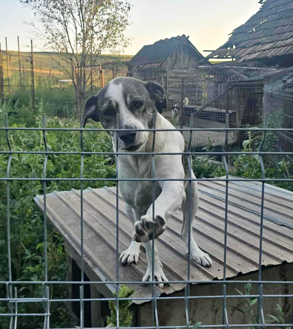 neues Foto Januar 2026