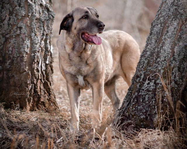 neues Foto Januar 2026