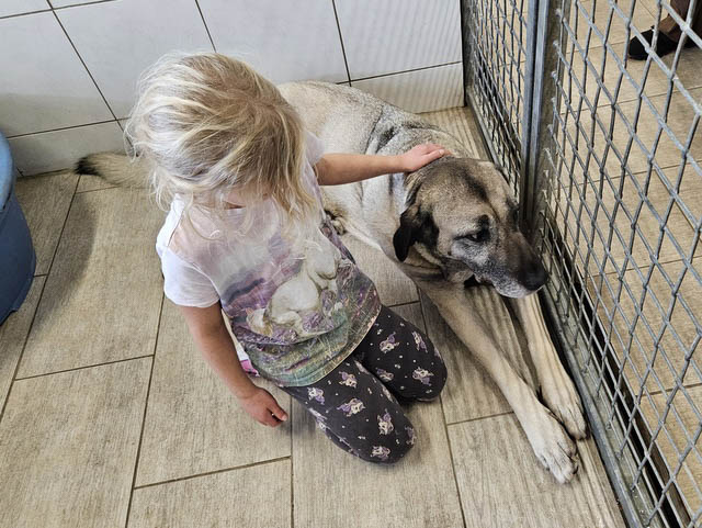 neues Foto Januar 2026