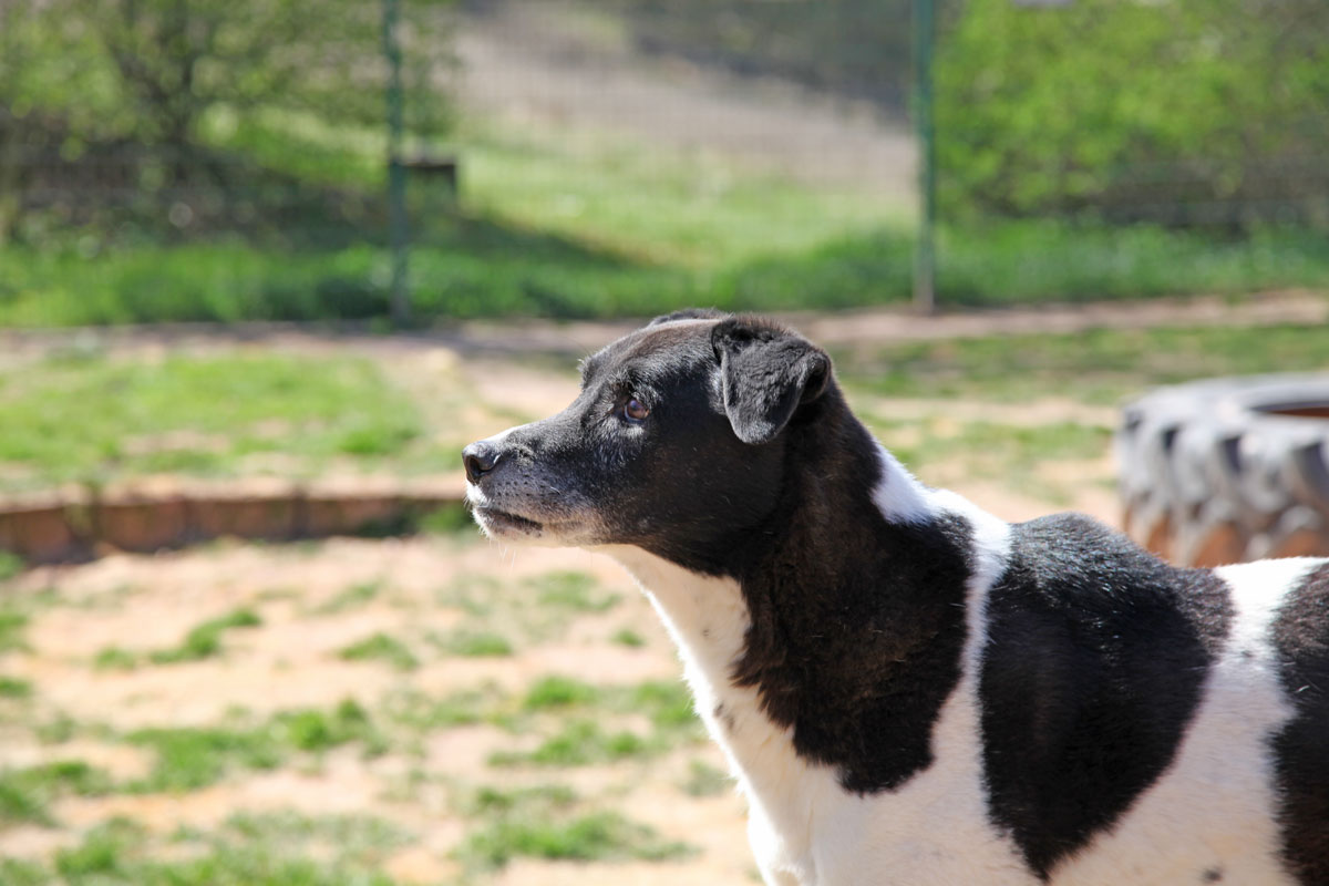 neues Foto Januar 2026