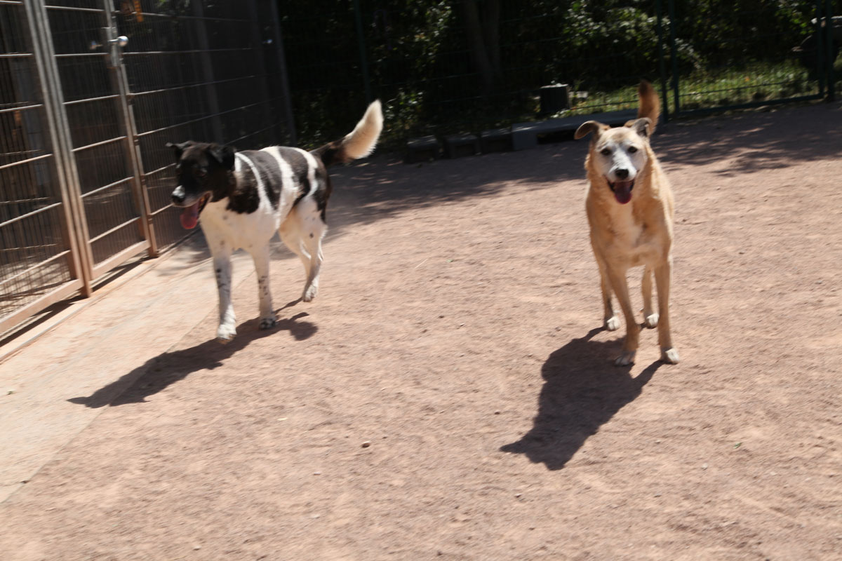 neues Foto Januar 2026