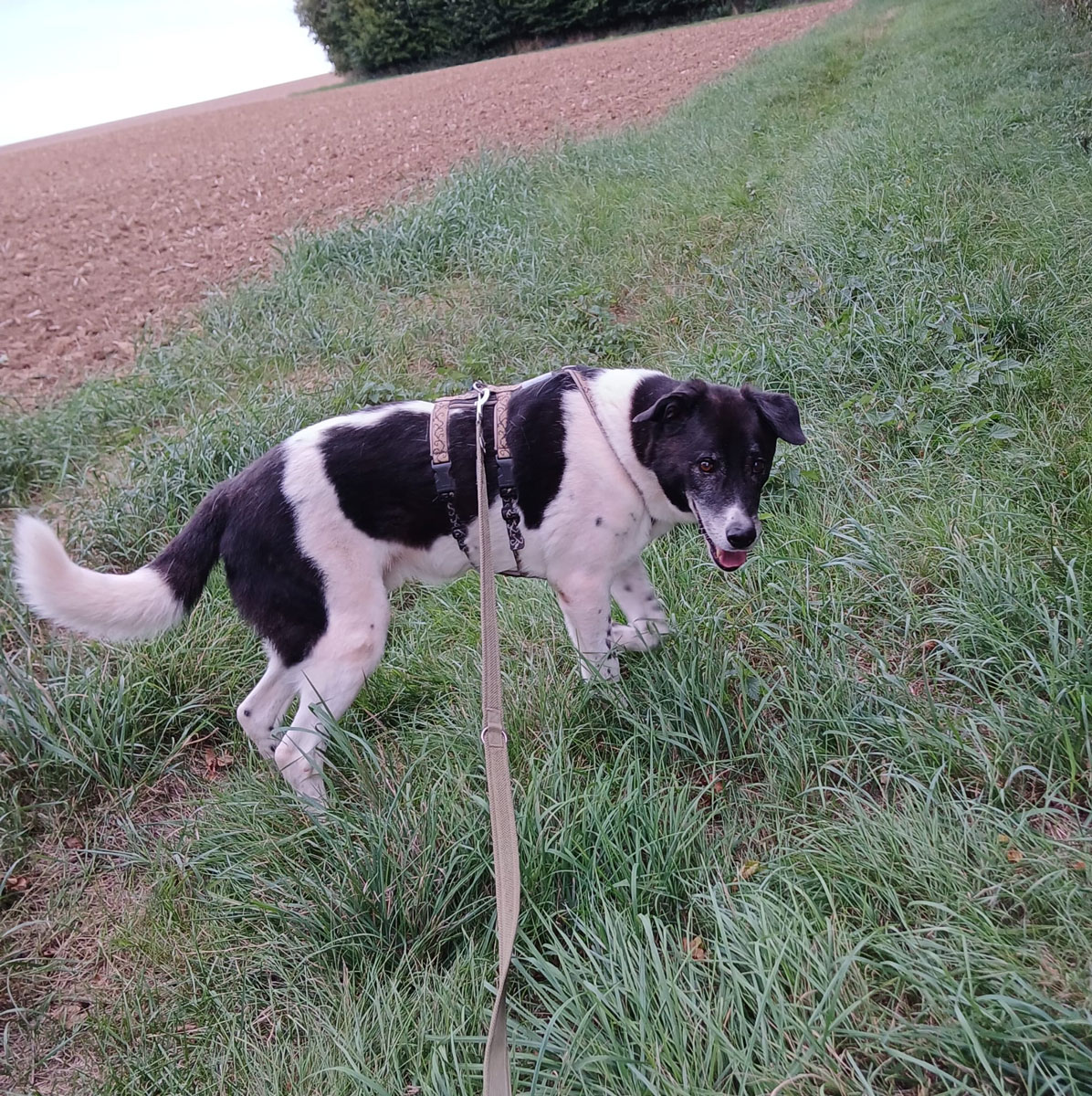 neues Foto Januar 2026