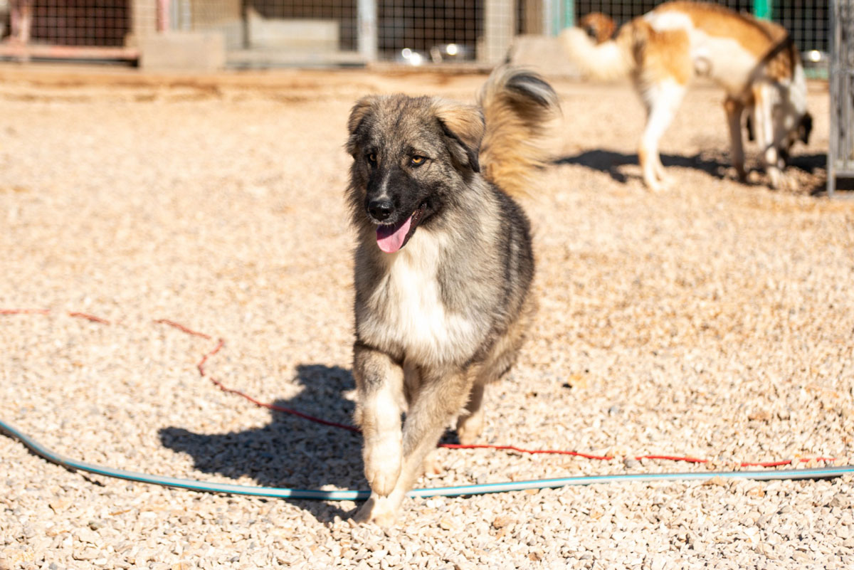 neues Foto Januar 2026