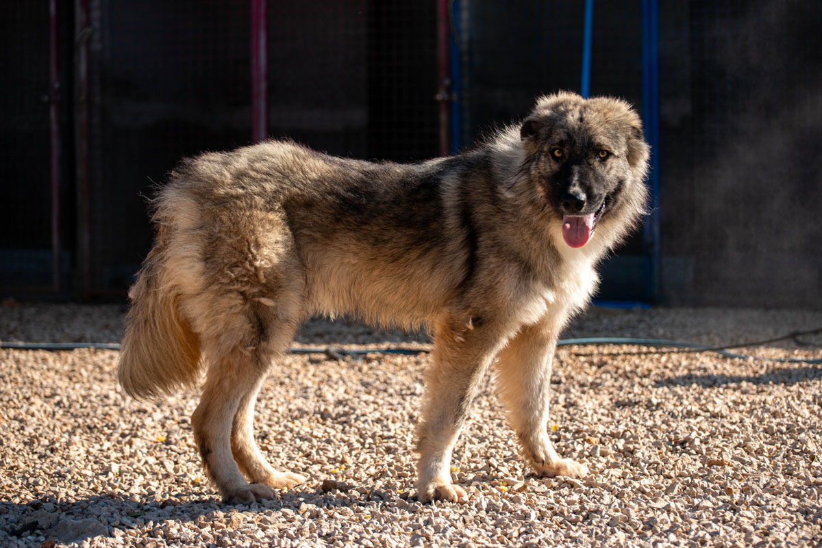 neues Foto Januar 2026