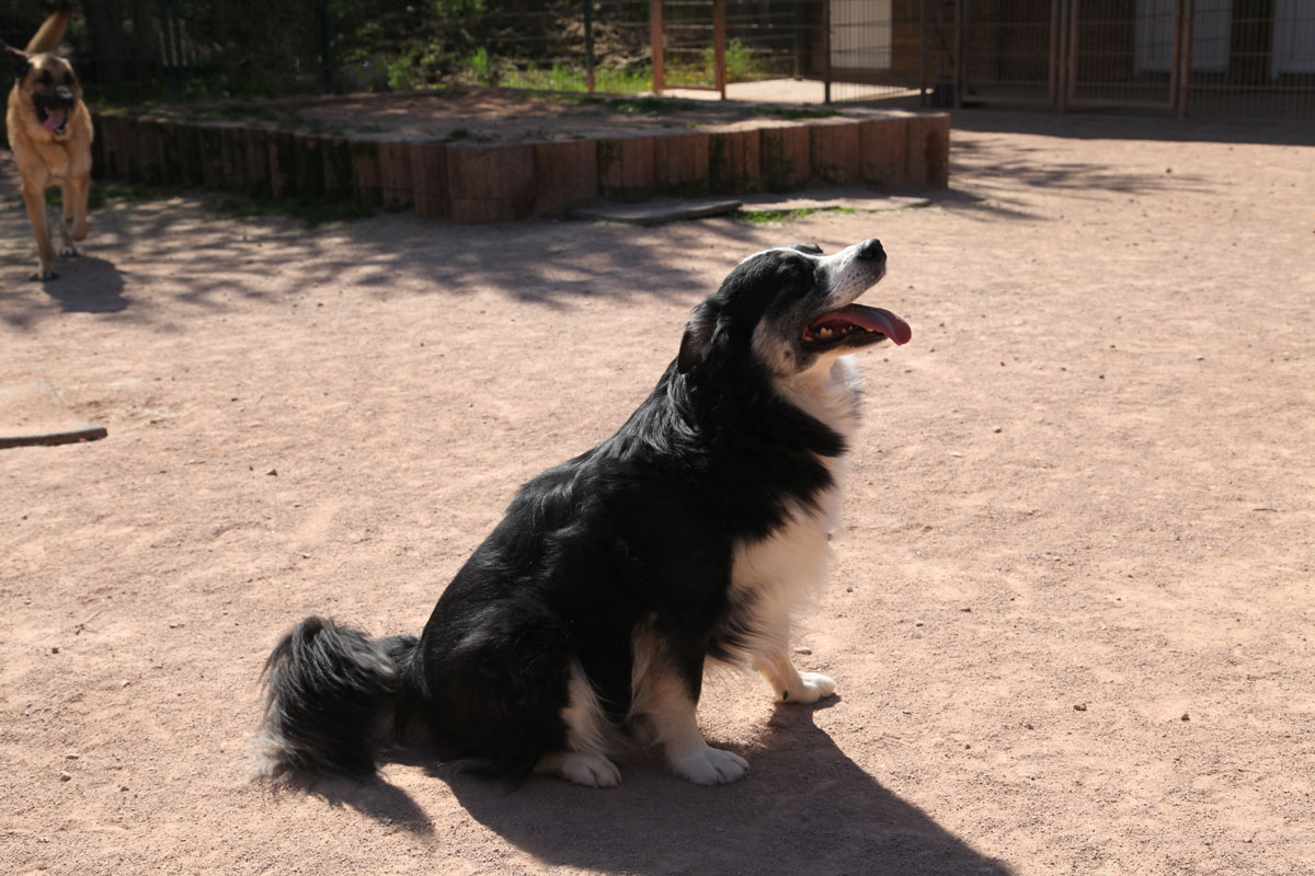 neues Foto Januar 2026