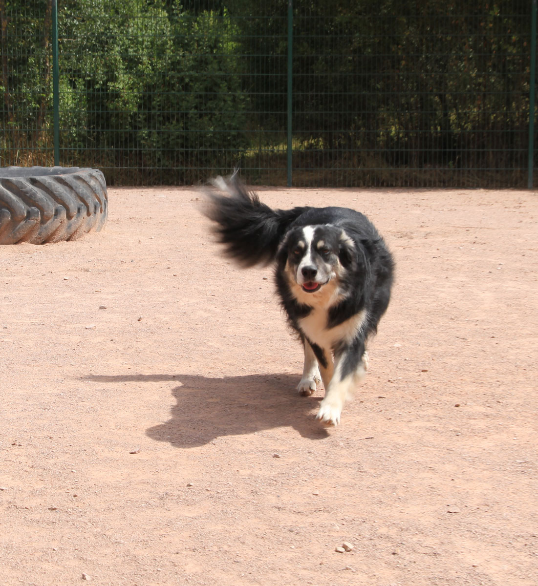 neues Foto Januar 2026