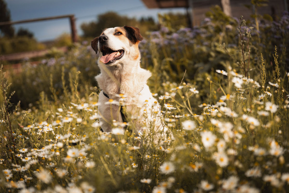 neues Foto Januar 2026