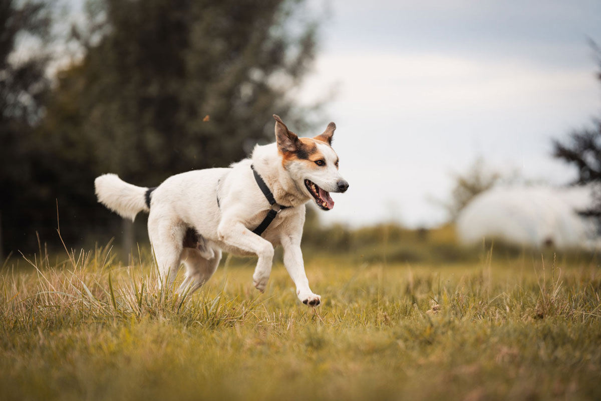 neues Foto Januar 2026