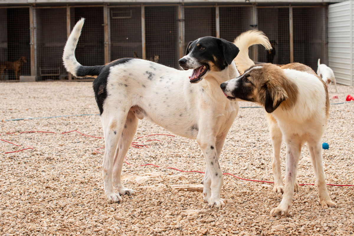 neues Foto Januar 2026 - Bandon