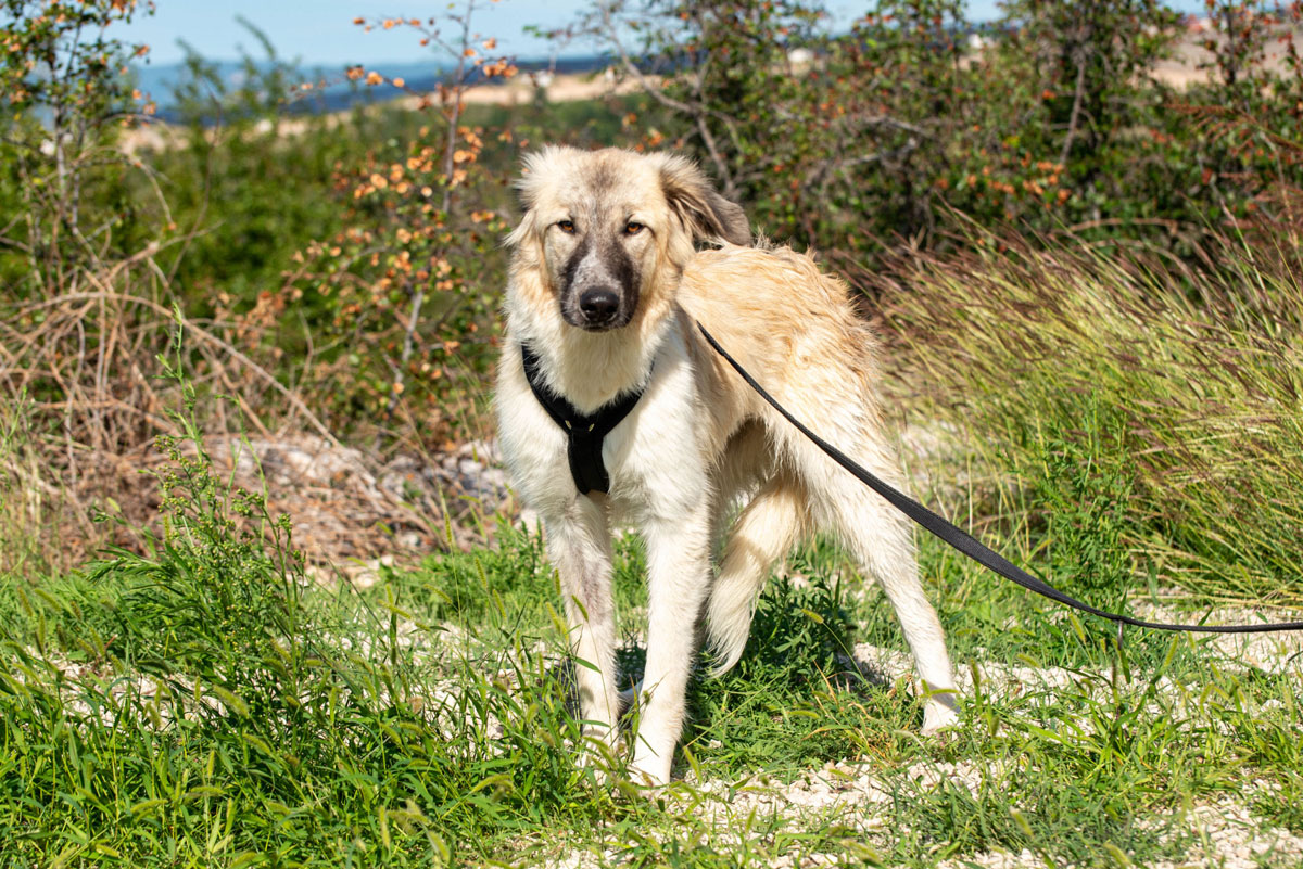 neues Foto Januar 2026 - Liesa