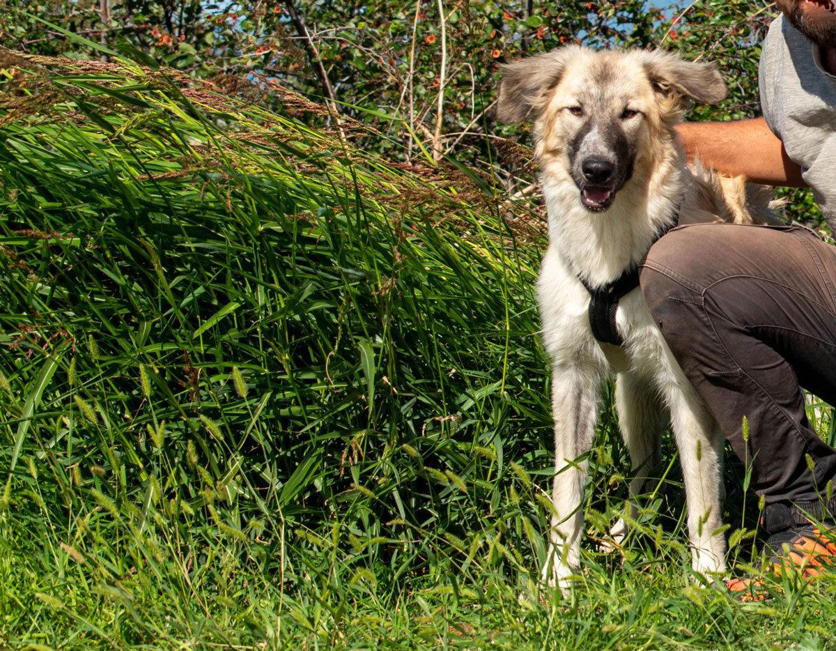 neues Foto Januar 2026 - Liesa