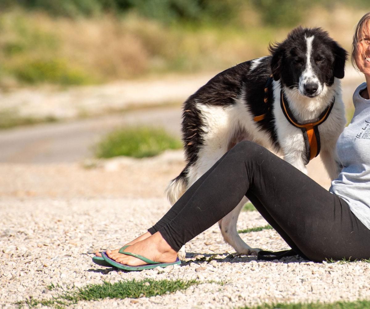 neues Foto Januar 2026- Morrisson