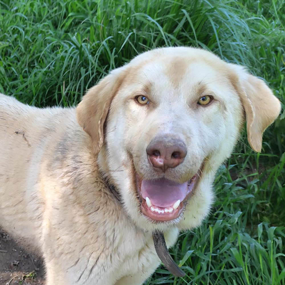 neues Foto Januar 2026