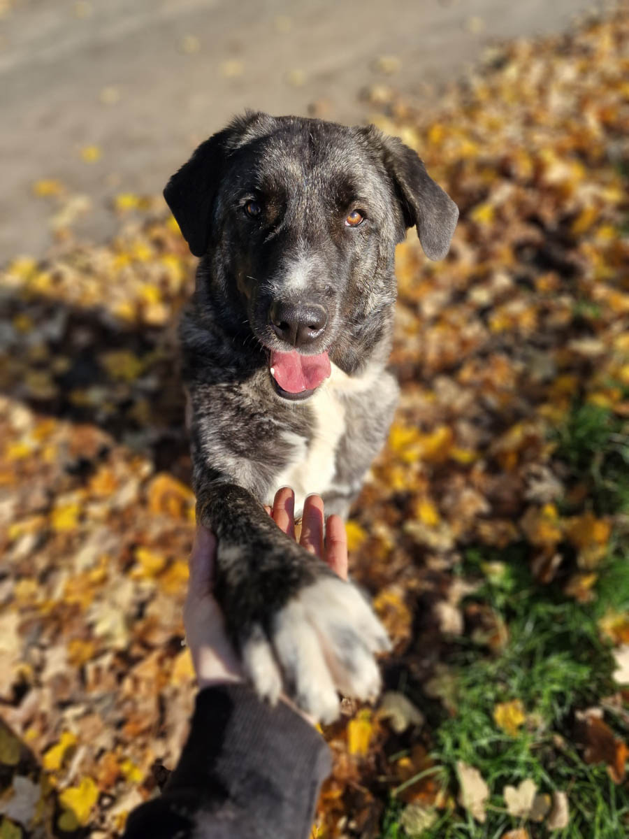 neues Foto Januar 2026