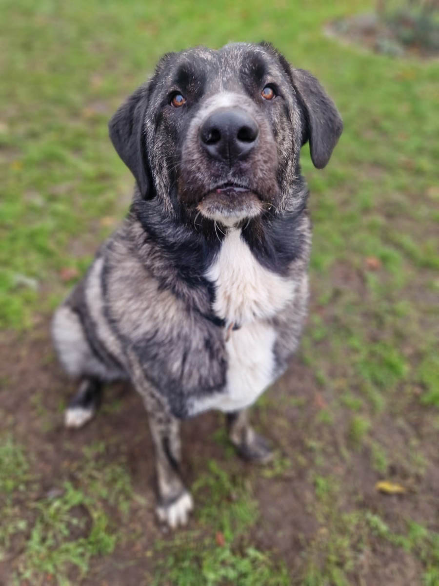 neues Foto Januar 2026