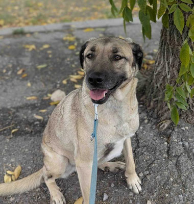 neues Foto Januar 2026